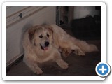 SAM_0224