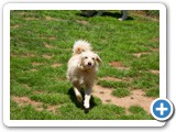 SAM_0263