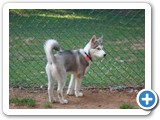 SAM_0480