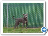 SAM_1647