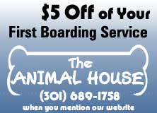 $5 Off, Dog Grooming in Poughkeepsie, NY